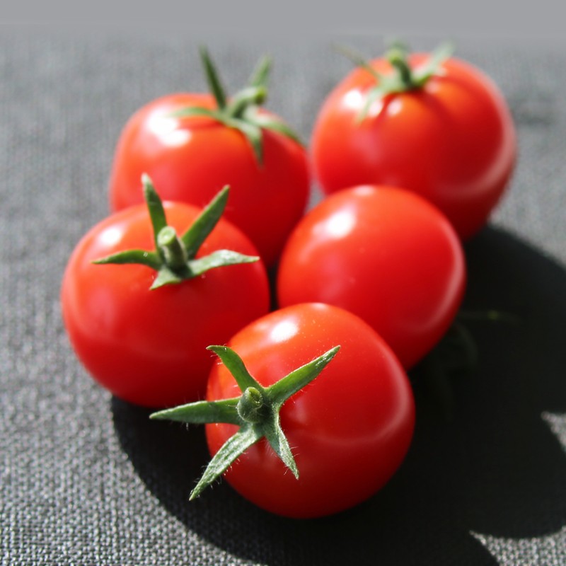 yp街机·电子游戏(中国)最新官网