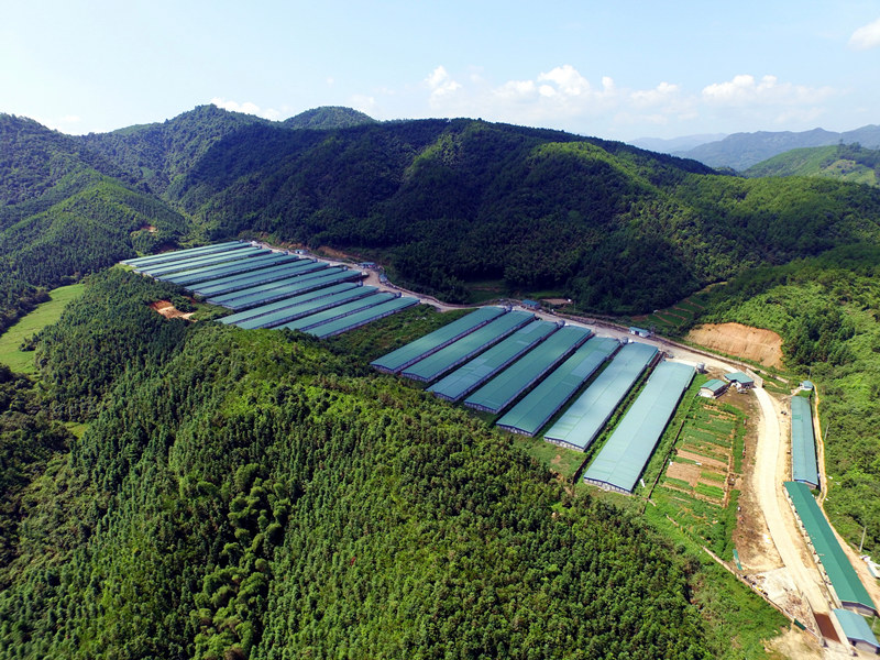 yp街机·电子游戏(中国)最新官网