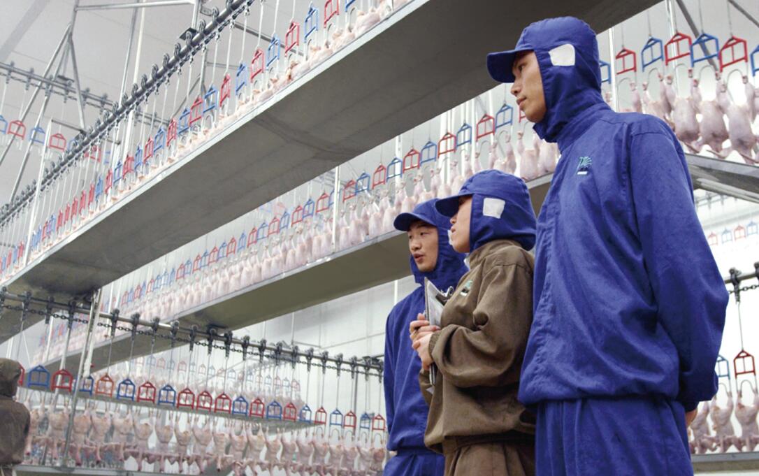 yp街机·电子游戏(中国)最新官网