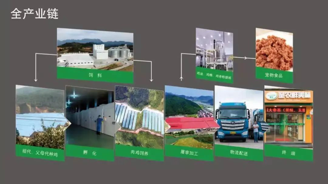 yp街机·电子游戏(中国)最新官网