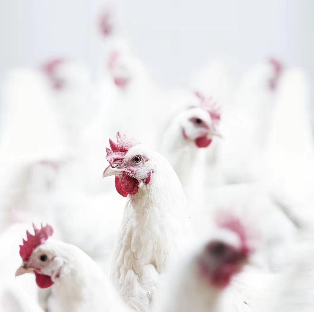 yp街机·电子游戏(中国)最新官网