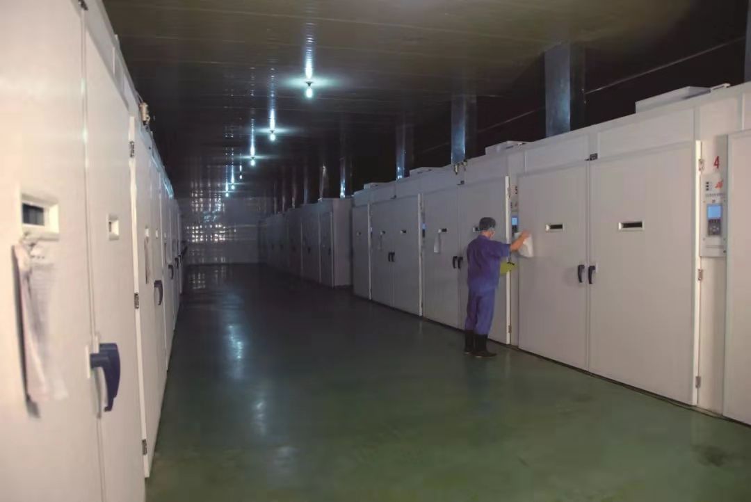 yp街机·电子游戏(中国)最新官网