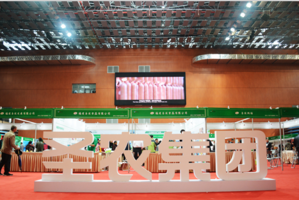 yp街机·电子游戏(中国)最新官网