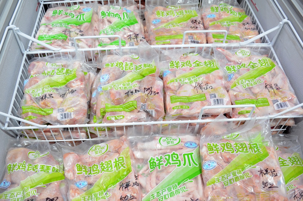 yp街机·电子游戏(中国)最新官网