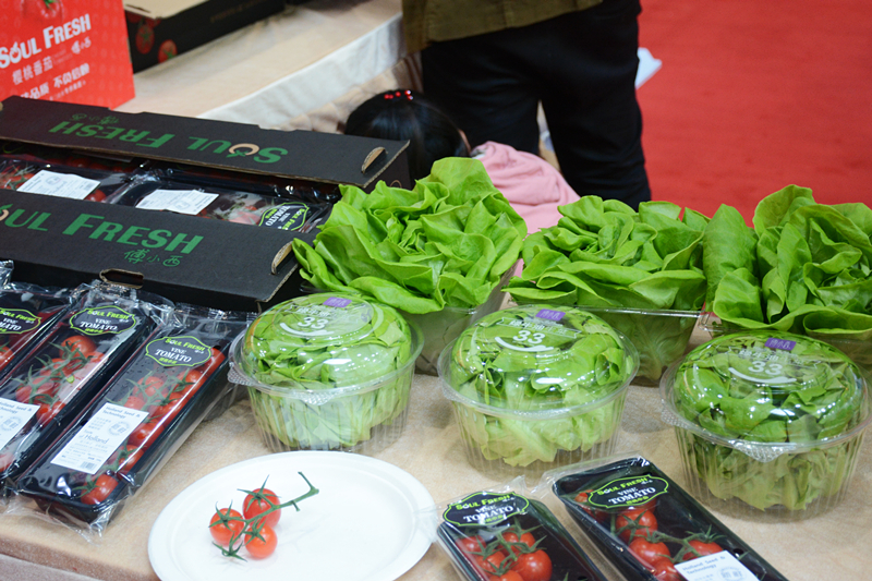 yp街机·电子游戏(中国)最新官网