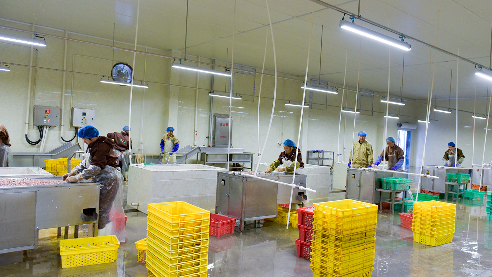 yp街机·电子游戏(中国)最新官网