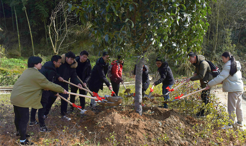 yp街机·电子游戏(中国)最新官网