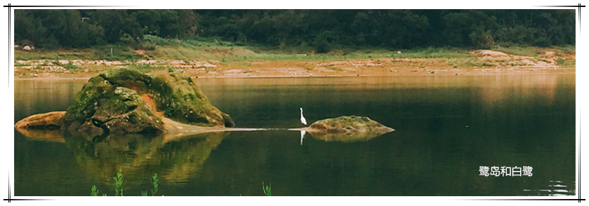 yp街机·电子游戏(中国)最新官网