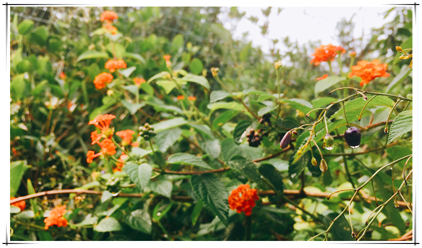 yp街机·电子游戏(中国)最新官网