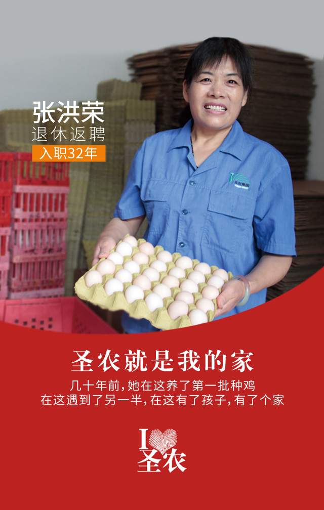 yp街机·电子游戏(中国)最新官网