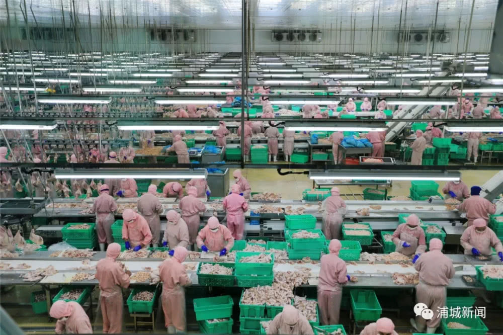 yp街机·电子游戏(中国)最新官网