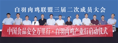 yp街机·电子游戏(中国)最新官网