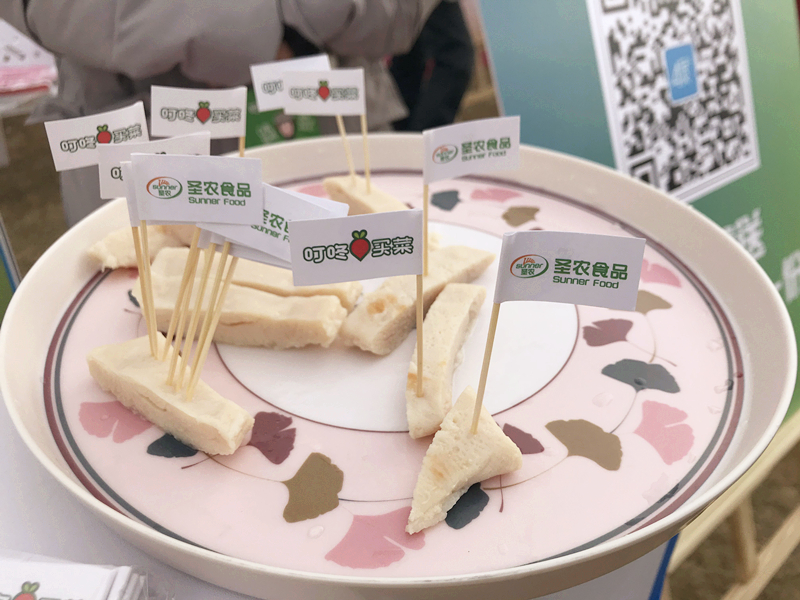 yp街机·电子游戏(中国)最新官网