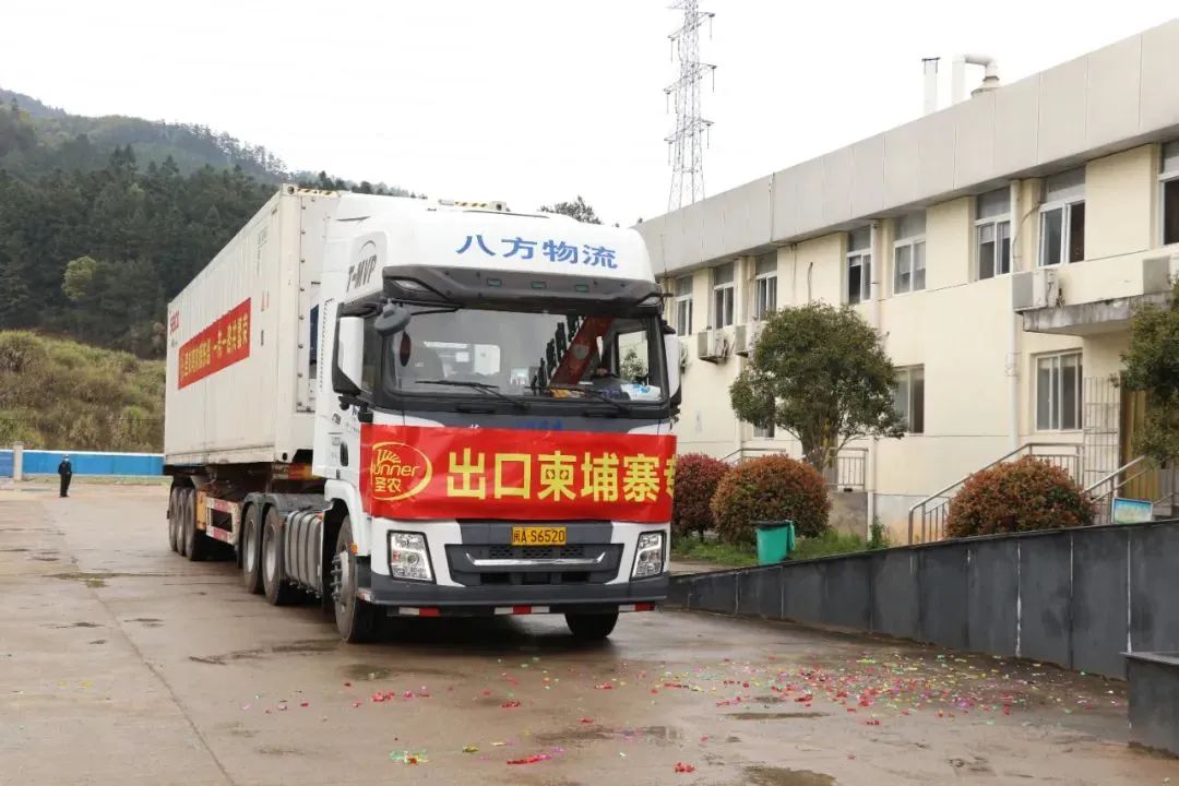 yp街机·电子游戏(中国)最新官网