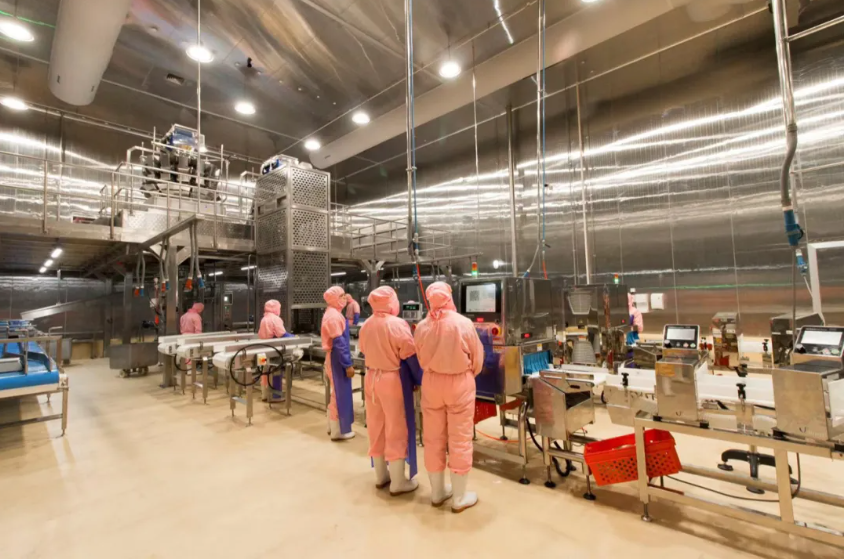 yp街机·电子游戏(中国)最新官网