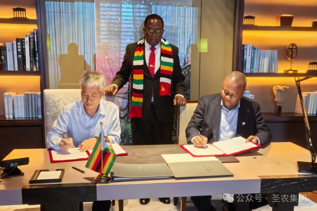 yp街机·电子游戏(中国)最新官网